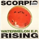 Scorpio Rising - Watermelon E.P.